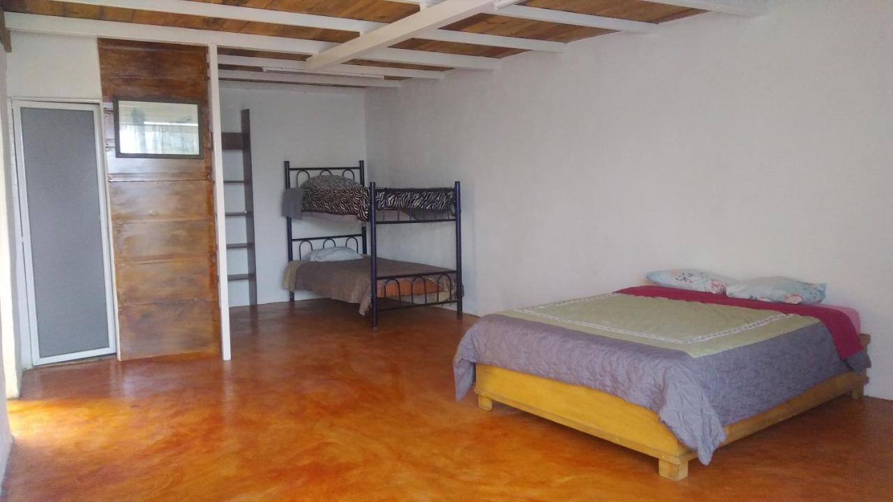 מלון Oaxaca La Casa Del Nenufar מראה חיצוני תמונה