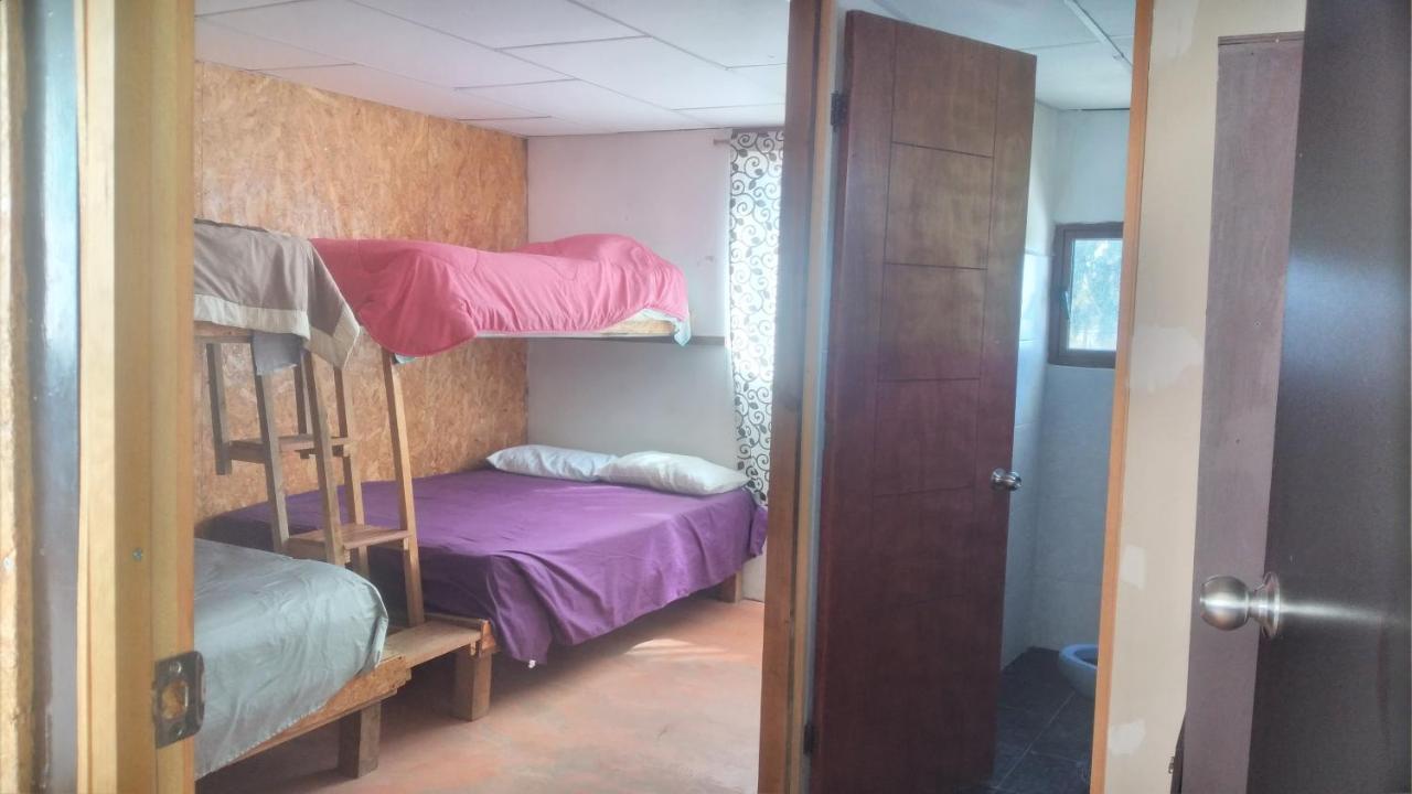 מלון Oaxaca La Casa Del Nenufar מראה חיצוני תמונה
