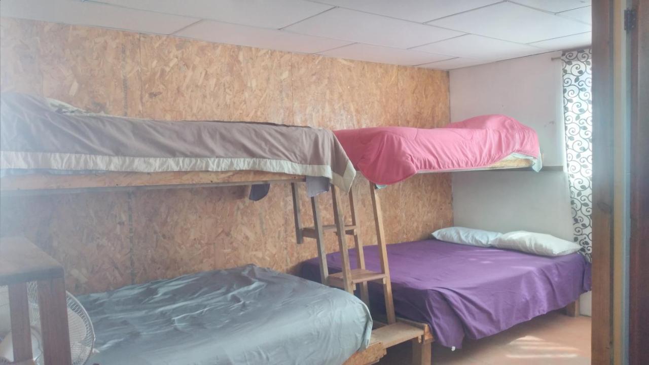 מלון Oaxaca La Casa Del Nenufar מראה חיצוני תמונה