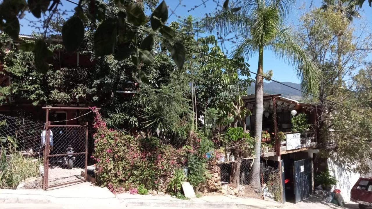 מלון Oaxaca La Casa Del Nenufar מראה חיצוני תמונה