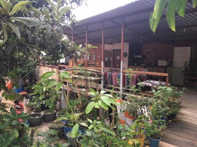 מלון Oaxaca La Casa Del Nenufar מראה חיצוני תמונה